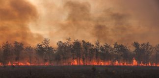 چگونه تغییرات آبوهوایی باعث بیمار شدن جهان میشود