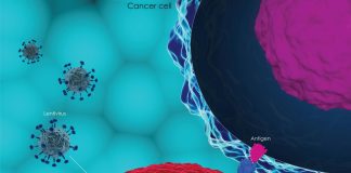 سازمان غذا و داروی آمریکا در حال بررسی خطر ایمنی درمانهای سرطان مرتبط با CAR-T است