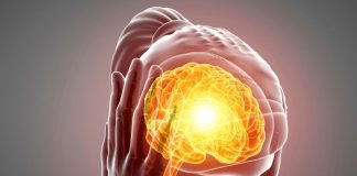 کدام غذاها باعث تحریک سردردهای میگرنی میشوند؟