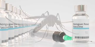 آغاز واکسیناسیون انبوه تب دنگی در برزیل