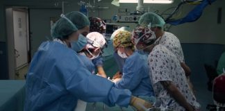 اسپانیا/  رکورد پیوند عضو در سال ۲۰۲۳