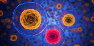 ابتلای سالانه بیش از ۱۳۵ هزار نفر در ایران به سرطان