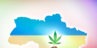 اوکراین/ قانونیشدن کانابیس برای مصارف پزشکی