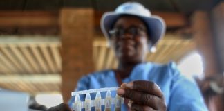 آغاز واکسیناسیون وبا در زیمبابوه بهصورت خانه به خانه