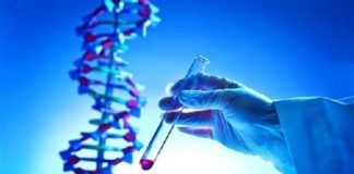 بیماریهای نادر در ایران به ۴۴۱ نوع رسید