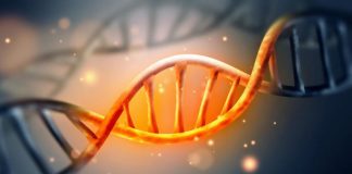 نتایج یک مطالعه در آمریکا: کشف ۲۷۵ میلیون تنوع ژنتیکی کاملاً جدید