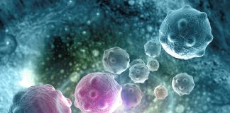 غربالگری، توصیهای طلایی برای پیشگیری از پنج سرطان شایع