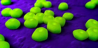 آیا یک مولکول مصنوعی میتواند زیرکانهتر از انواع باکتریهای مقاوم به دارو عمل کند؟