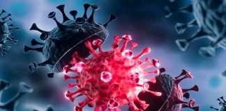 شناسایی سویه JN.۱ کووید در ایران