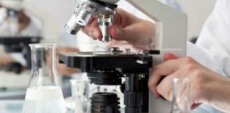 رونمایی از جدیدترین تکنولوژی آزمایشگاهی برای تشخیص سویهها