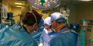 برای نخستینبار در جهان پیوند کلیه خوک به یک انسان مرگ مغزینشده انجام شد