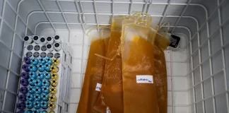 راهاندازی دومین پالایشگاه پلاسما در ایران