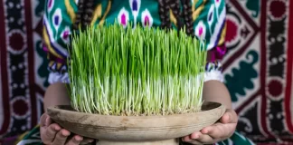 هوای دلهاتان بهاری، روزگارانتان نوروزی