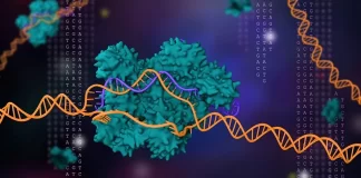 همکاری Regeneron و Mammoth Biosciences برای پرداختن به درمانهای نسل بعدی ویرایش ژن مبتنی بر کریسپر