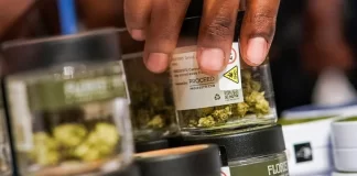 اقدامات وزارت دادگستری آمریکا بهسمت جرمزدایی از مصرف ماریجوانا