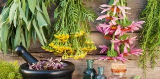 ممنوعیت فروش داروهای گیاهی در عطاریها