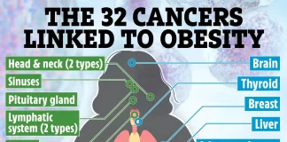چاقی با ۳۲ نوع سرطان مرتبط است