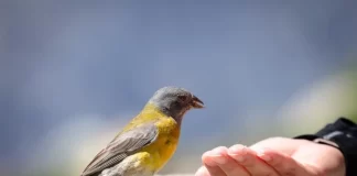 یک فعالیت ساده در طبیعت میتواند سلامت روانی دانشجویان را بهبود بخشد