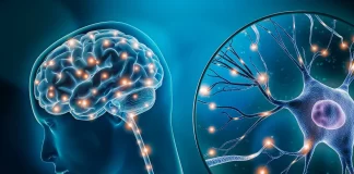 تداخلات دارویی با برخی خوراکیها میتواند منجر به بروز سندروم سروتونین شود