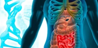 عملکرد موفق ترکیب داروهای Botensilimab و balstilimab در کوچکشدن تومورهای بیماران مبتلا به نوعی سرطان روده