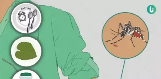 وزارت بهداشت: مسافران به کشورهای عربی با علائم تب دنگی سریعا به مراکز بهداشتی مراجعه کنند