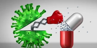 همکاری شرکتهای ایلای لیلی و OpenAI برای تولید داروهای باکتریهای مقاوم به دارو مبتنی بر هوش مصنوعی