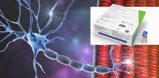 گسترش استفاده از ژندرمانی Elevidys مورد تایید FDA قرار گرفت