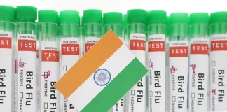 یک مورد ابتلای انسانی به آنفلوآنزای پرندگان تایید شد