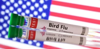 احتمال ابتلای ۳ نفر به آنفلوآنزای پرندگان در کلرادو