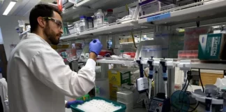 تایید ابتلای ۲ مورد انسانی دیگر به آنفلوآنزای پرندگان در کلرادو