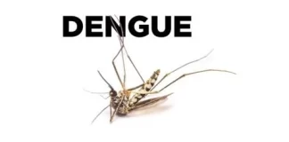 تبلیغات غیرواقع در خصوص فرآوردههای دفع پشه آئدس برای پیشگیری از تب دنگی
