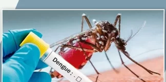 تولید ۲ محصول دافع پشه آئدس در کشور با تیراژ بالا