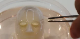 دانشمندان ژاپنی با پوست زنده چهره ربات را خندان کردند