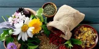 راهکارهای پیشگیری از گرمازدگی در طب ایرانی