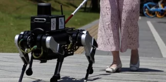 ربات چینیِ «سگ راهنما» استقلال افراد کمبینا را بهبود خواهد بخشید
