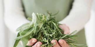 چه گیاهانی سطوح اسید اوریک را بهطور طبیعی کاهش میدهند؟