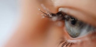 یک داروی ترکیبی نویدبخش درمان دژنراسیون شبکیه چشم است