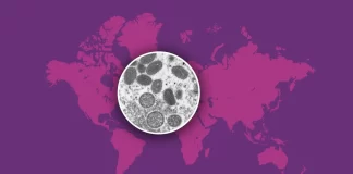 برای دومین بار/ بیماری mpox یک وضعیت اضطراری بهداشت عمومی جهانی اعلام شد