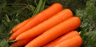 خوردن هویج میتواند یک راه ساده برای افزایش مواد مغذی مفید در بدن باشد