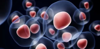 ورود ۳ داروی «سلول درمانی» به فهرست دارویی کشور