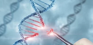 عملکرد موفق ژندرمانی در نابینایی ارثی