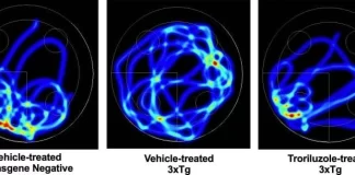 یک داروی آزمایشی جدید نویدبخش معکوسکردن روند کاهش حافظه و زوال شناختی است