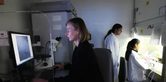 پیوند انقلابی سلولهای بنیادی با موفقیت سوراخهای تهدیدکننده بینایی را در چشم میبندد