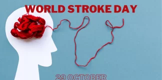 فشار خون بالا یکی از علل اصلی سکته مغزی/ ۲۹ اکتبر؛ روز جهانی سکته مغزی