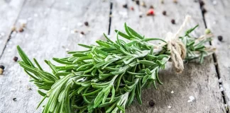 فواید آویشن برای سلامتی