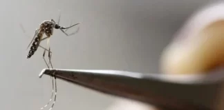 مرگ بیش از ۴۰۰ نفر در بنگلادش ناشی از تب دنگی