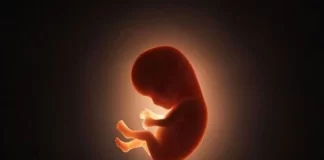 ممنوعیت توزیع داروی سقط جنین در داروخانهها