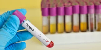 از هر ۴ نفر مبتلا به بیماری تب دنگی، ۳ نفر بدون علامت یا با علائم بسیار خفیف هستند