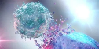 داروهای ضدسرطان میتوانند ایمنیدرمانی را موثرتر کنند