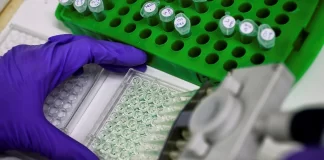 عملکرد امیدوارکننده داروی آزمایشی cretostimogene در مبتلایان به سرطان مثانه